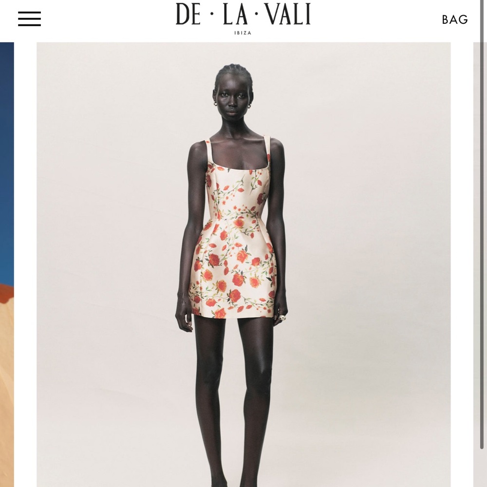 Lola Mini Dress in Ivory & Red Flor de Amor
